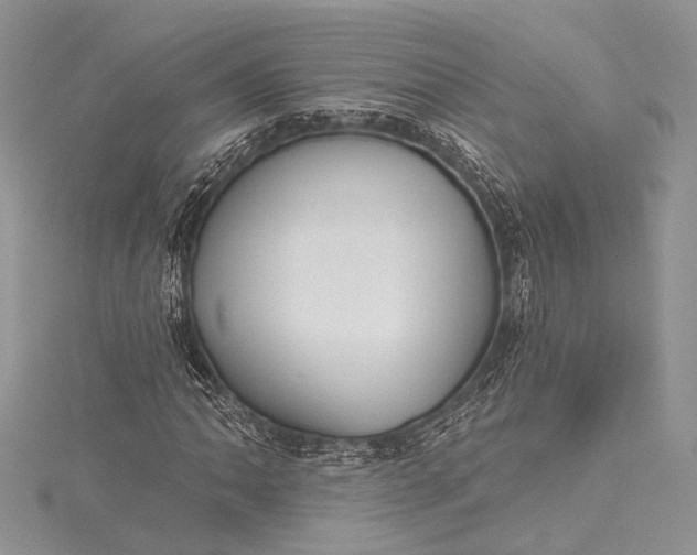 X0000115491062200911201552