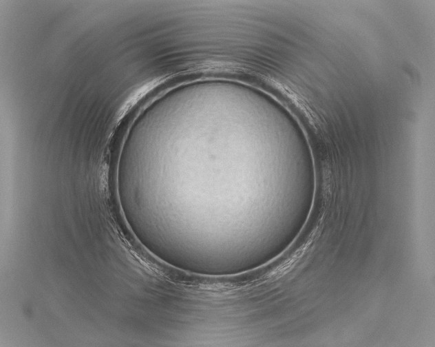 X0000115491066200911201552