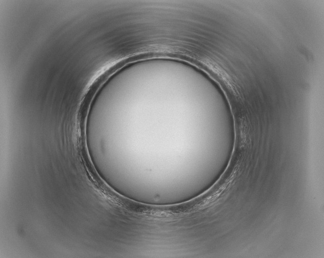 X0000115491070200911201551