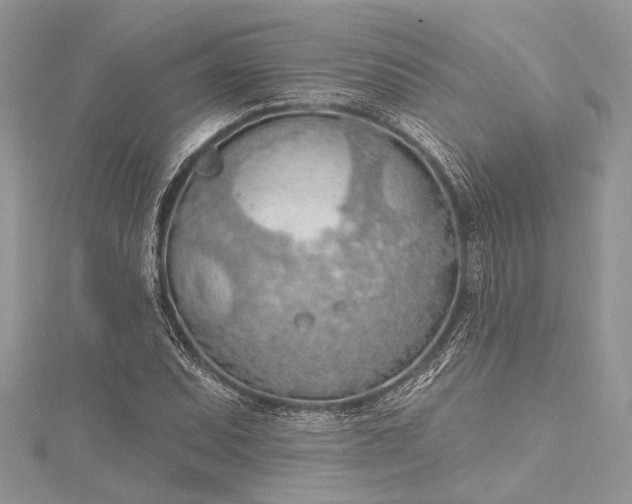 X0000115491071200911201551