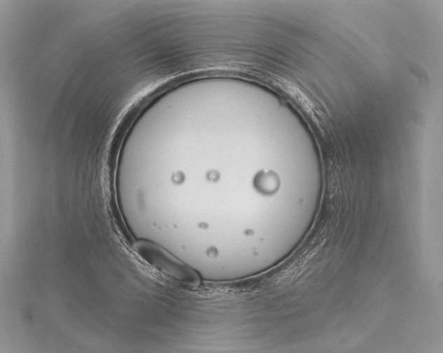 X0000115491072200911201551