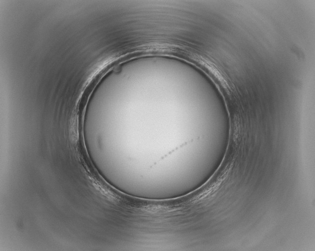 X0000115491075200911201551