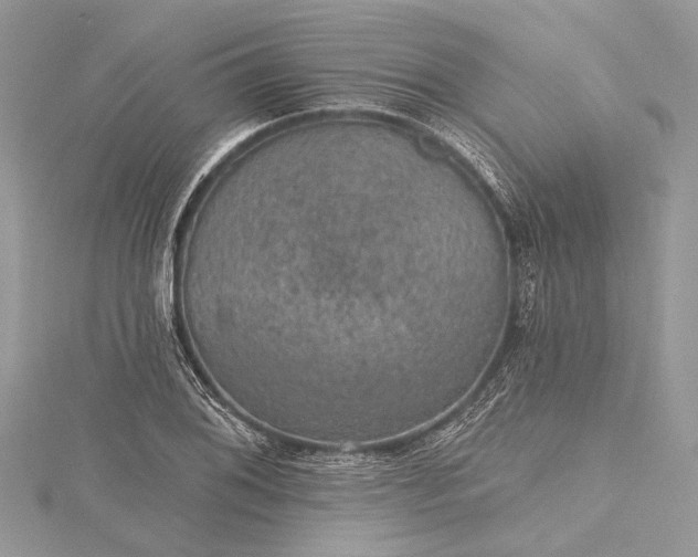 X0000115491076200911201551