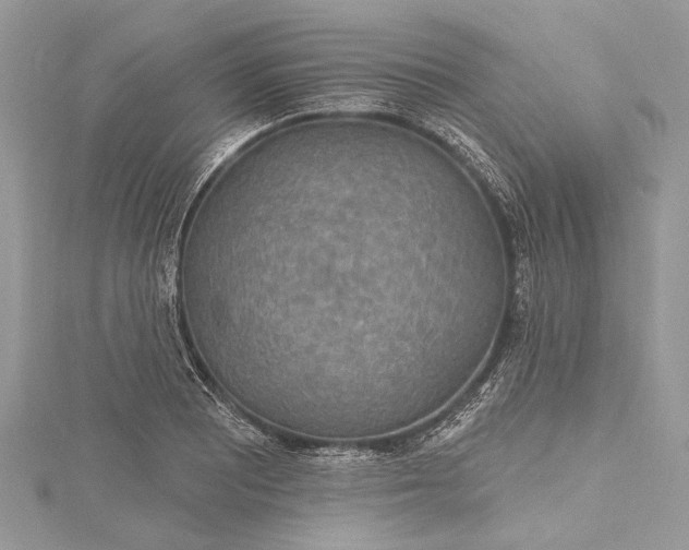 X0000115491081200911201551