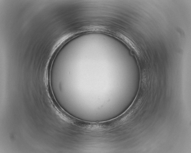 X0000115491082200911201551
