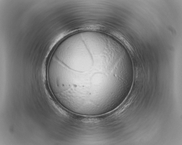 X0000115491083200911201551