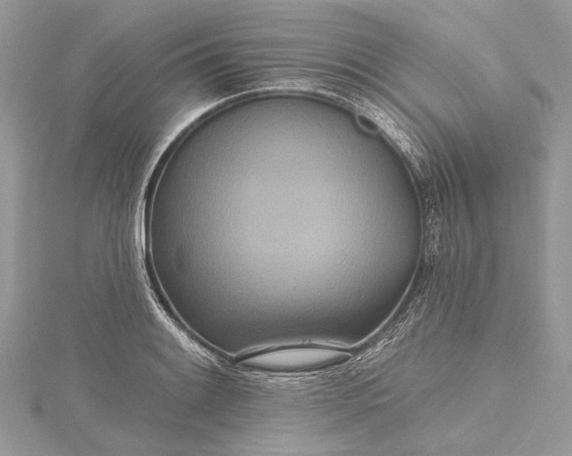 X0000115491084200911201551