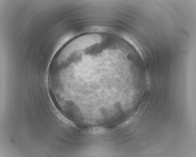 X0000115491090200911201551