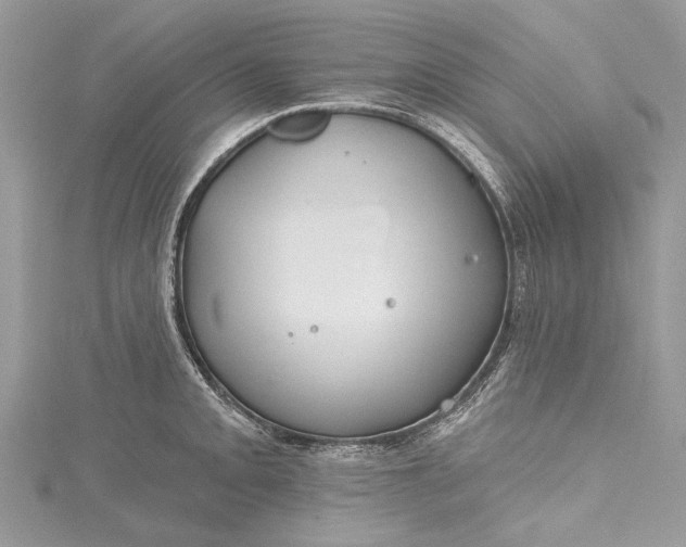 X0000115491093200911201551