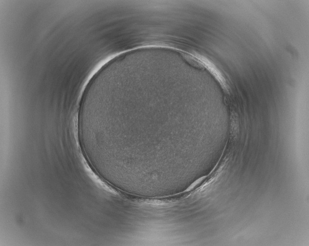 X0000115491100200911201551