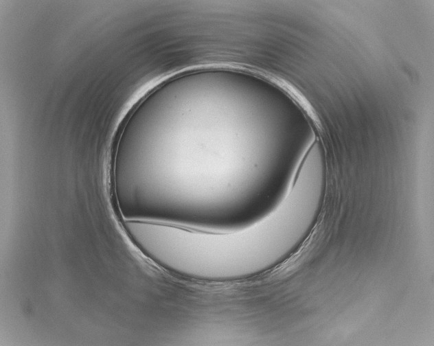 X0000115491101200911201551