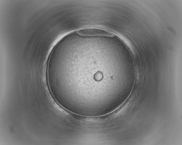 X0000115491102200911201551