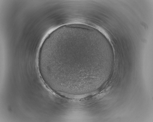 X0000115491104200911201551