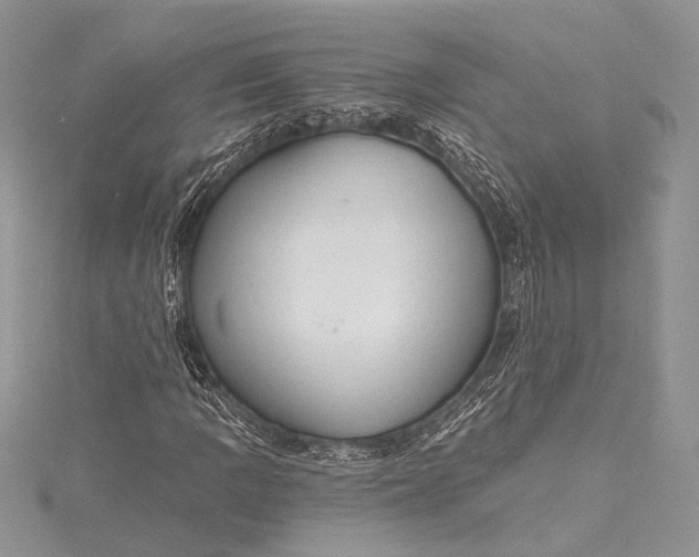 X0000115491109200911201550
