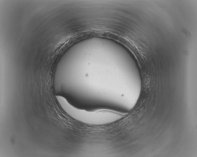 X0000115491110200911201550