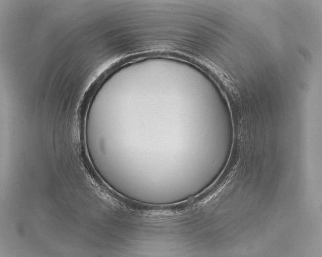 X0000115491118200911201551