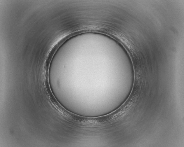 X0000115491119200911201551