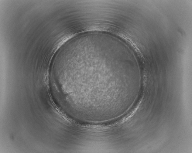 X0000115491121200911201551