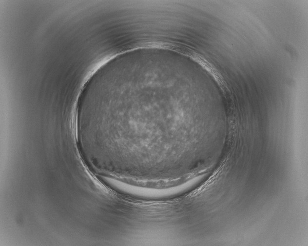 X0000115491127200911201551