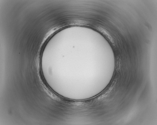 X0000115491130200911201551