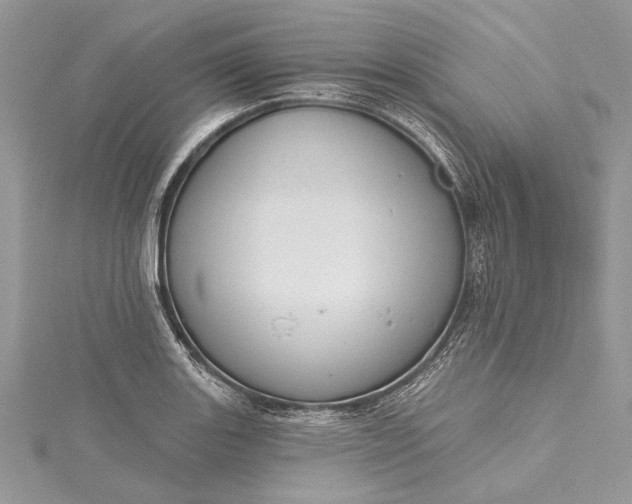 X0000115491131200911201551