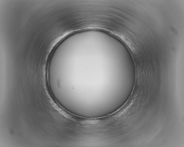 X0000115491134200911201551