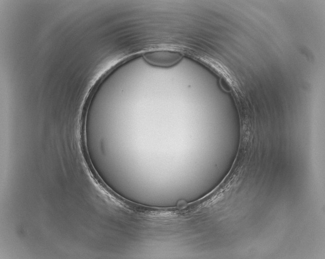 X0000115491135200911201551