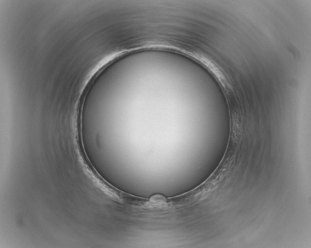 X0000115491142200911201551