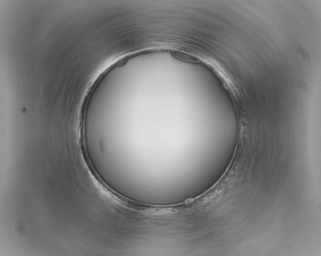 X0000115491143200911201551