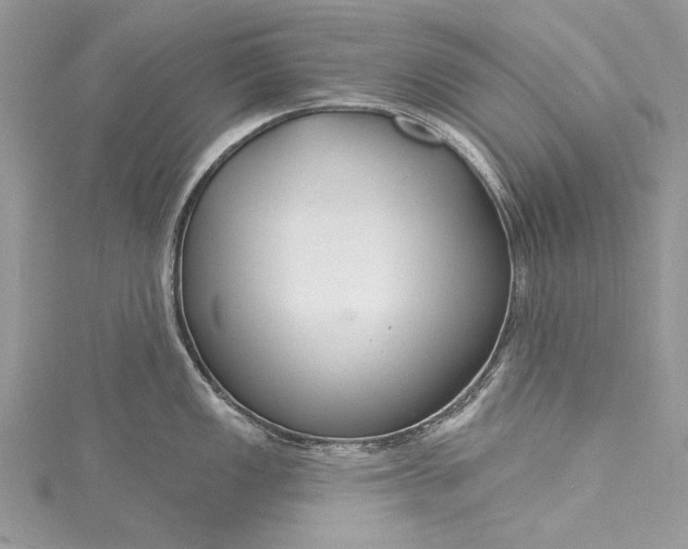 X0000115491149200911201551