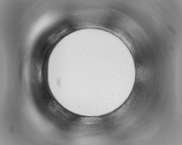 X0000115491150200911201551