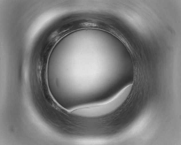 X0000115491151200911201551