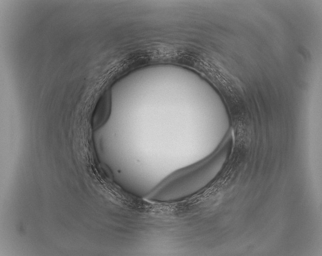 X0000115491153200911201550