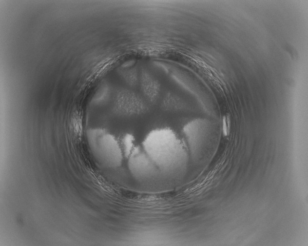 X0000115491155200911201550