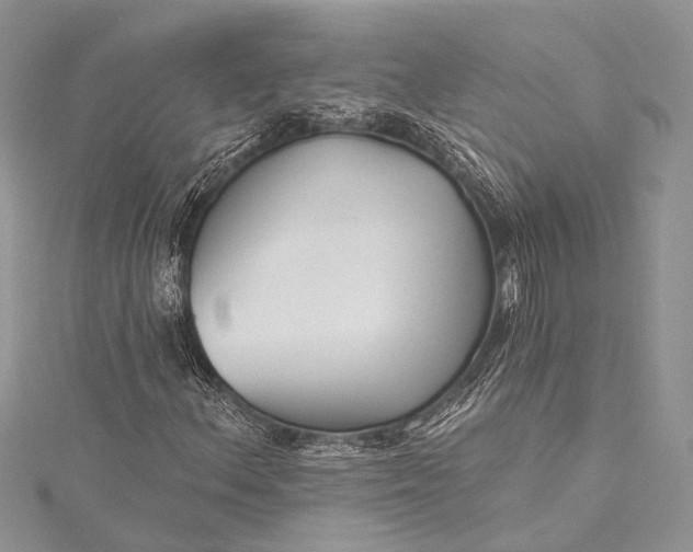 X0000115491156200911201550