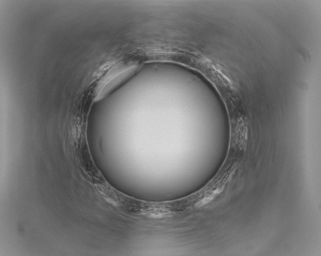 X0000115491157200911201550