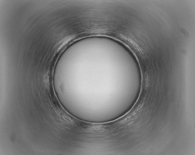 X0000115491162200911201550