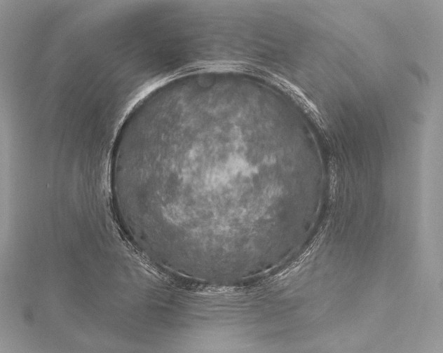 X0000115491174200911201550