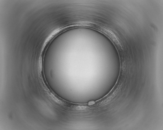X0000115491180200911201550