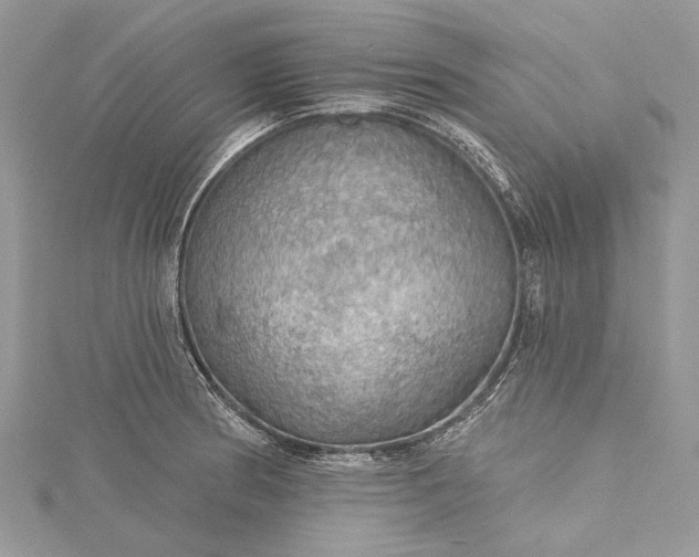 X0000115491186200911201550