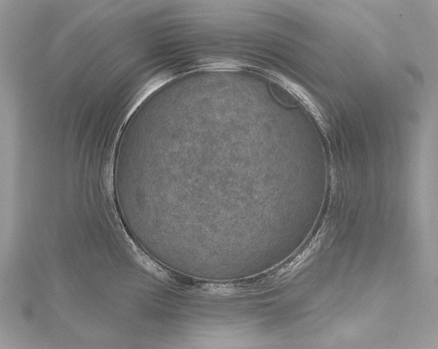 X0000115491194200911201550