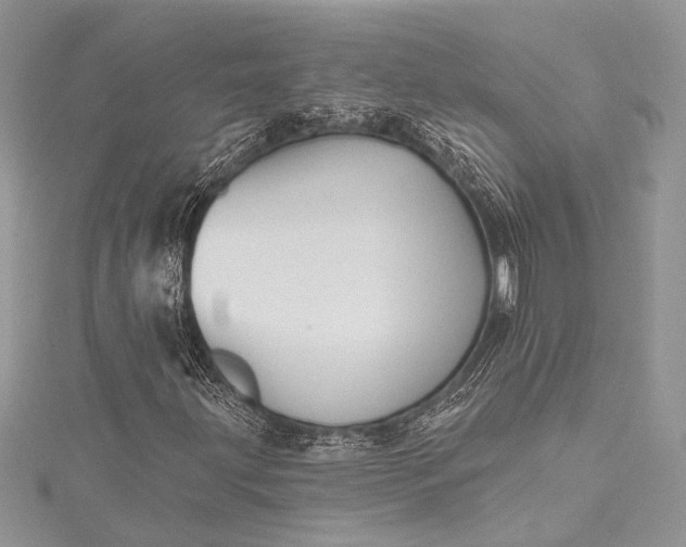 X0000115491203200911201549