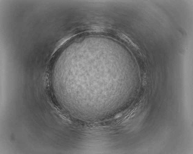 X0000115491208200911201549