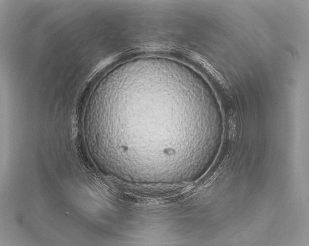X0000115491213200911201549