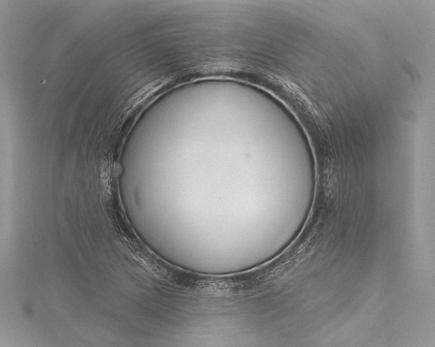X0000115491217200911201549