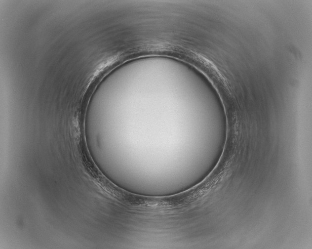 X0000115491218200911201549