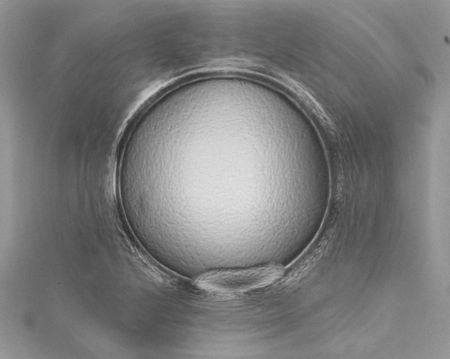 X0000115491224200911201549