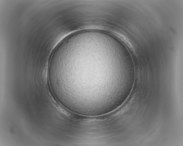 X0000115491228200911201549