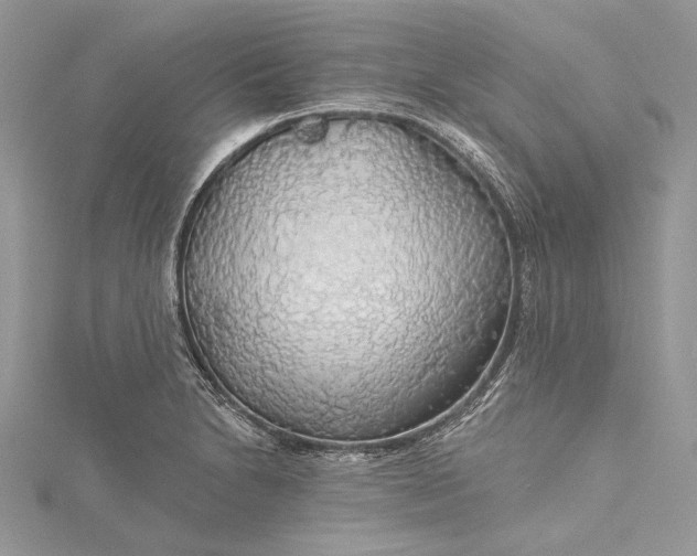 X0000115491230200911201549