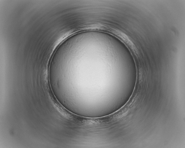 X0000115491234200911201550